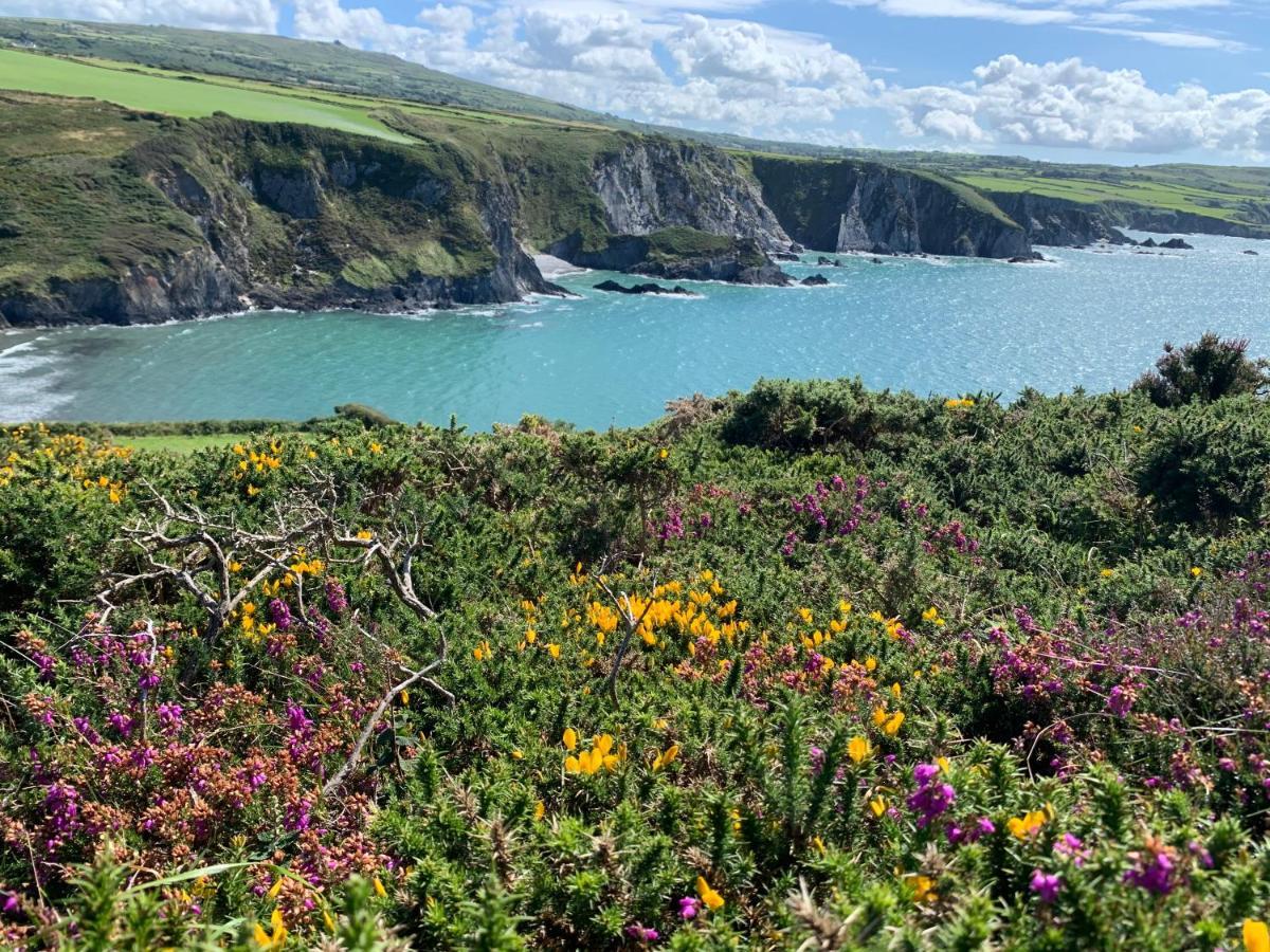 ローアーン Dylan Thomas Sea View Bed & Breakfast エクステリア 写真