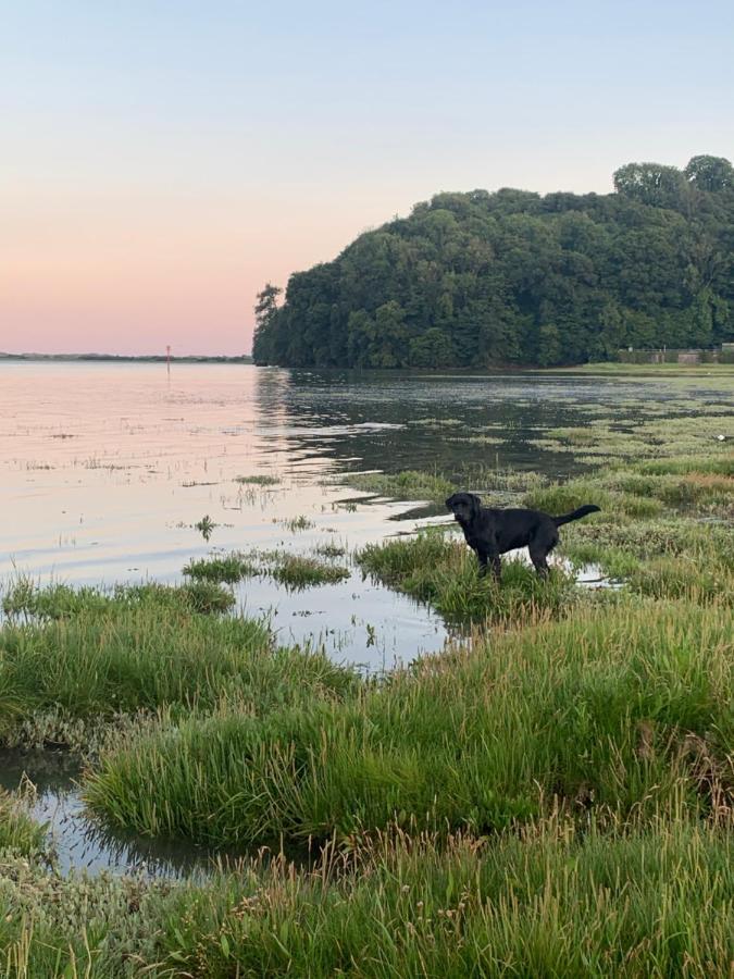 ローアーン Dylan Thomas Sea View Bed & Breakfast エクステリア 写真